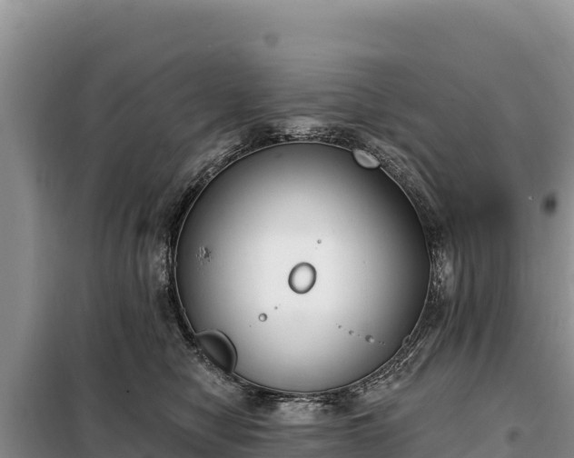 X0000099320470200805091045