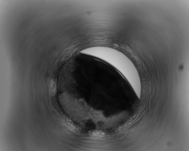 X0000099320471200805091045