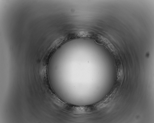 X0000099320473200805091045