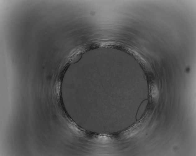 X0000099320475200805091046