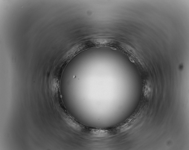 X0000099320476200805091046