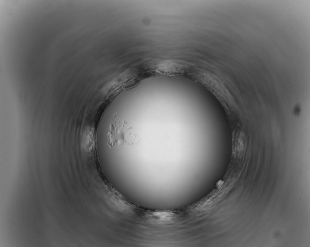 X0000099320478200805091046