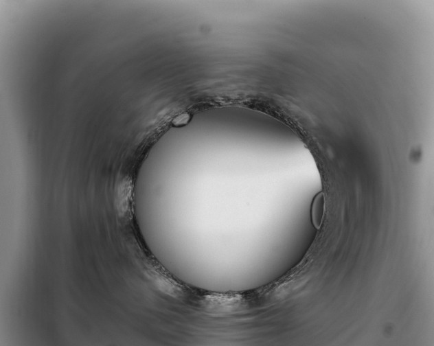 X0000099320480200805091046