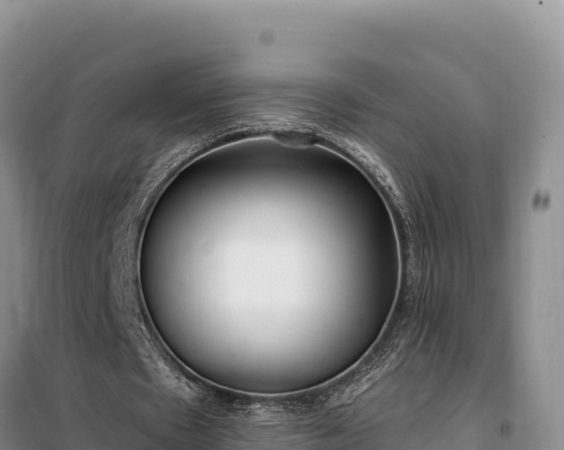 X0000099320481200805091045