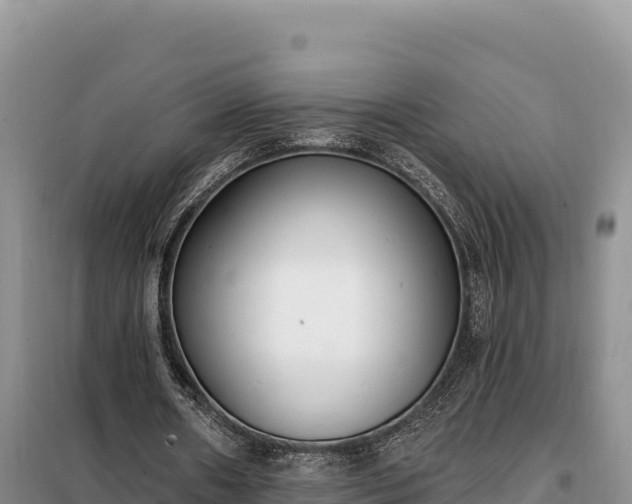 X0000099320482200805091045