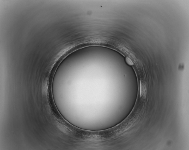 X0000099320483200805091045