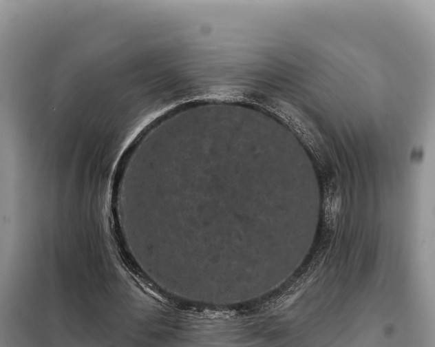 X0000099320484200805091045