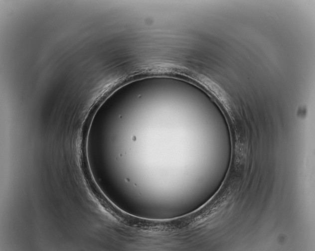 X0000099320485200805091045