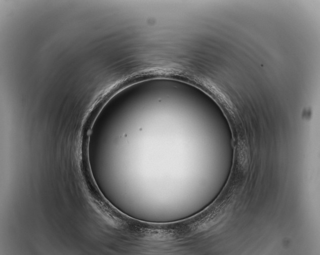 X0000099320486200805091045