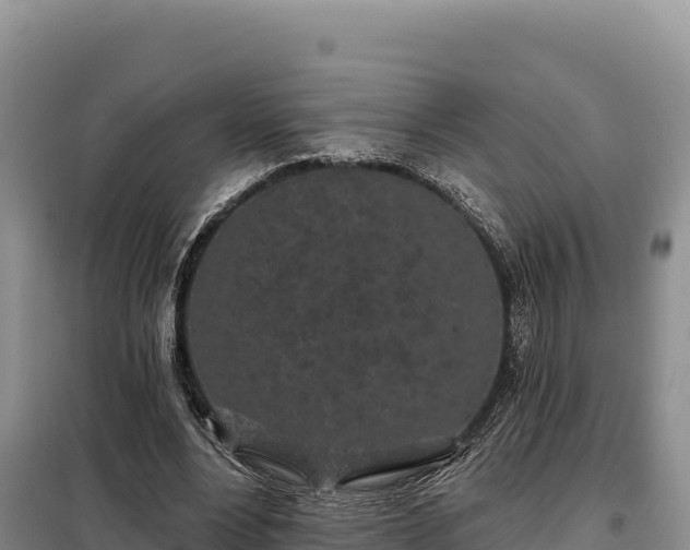 X0000099320488200805091045