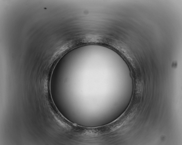 X0000099320489200805091045