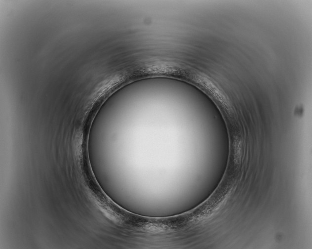 X0000099320490200805091045