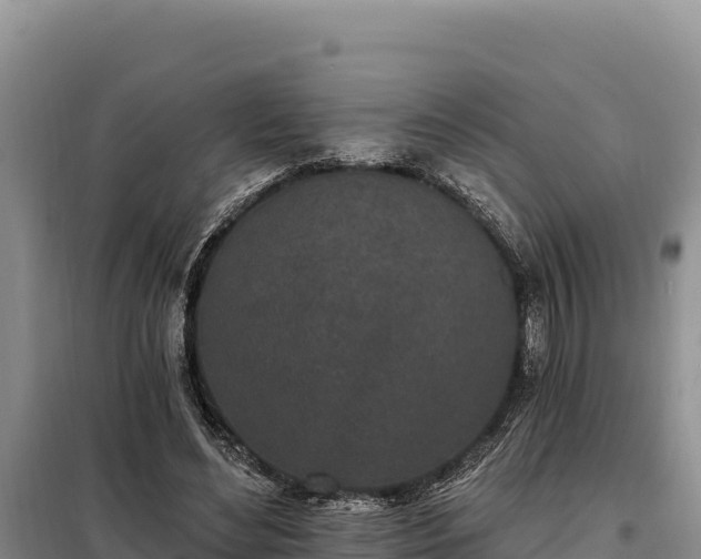 X0000099320492200805091045