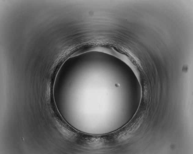 X0000099320493200805091045