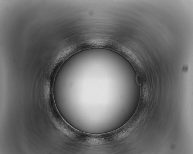 X0000099320494200805091045