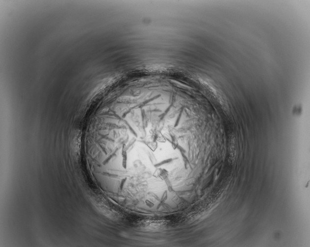 X0000099320495200805091045