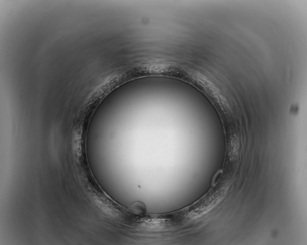 X0000099320497200805091045