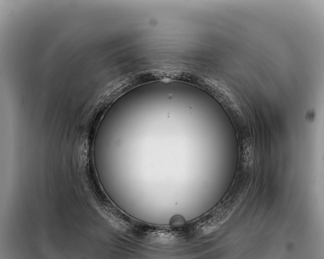 X0000099320498200805091045