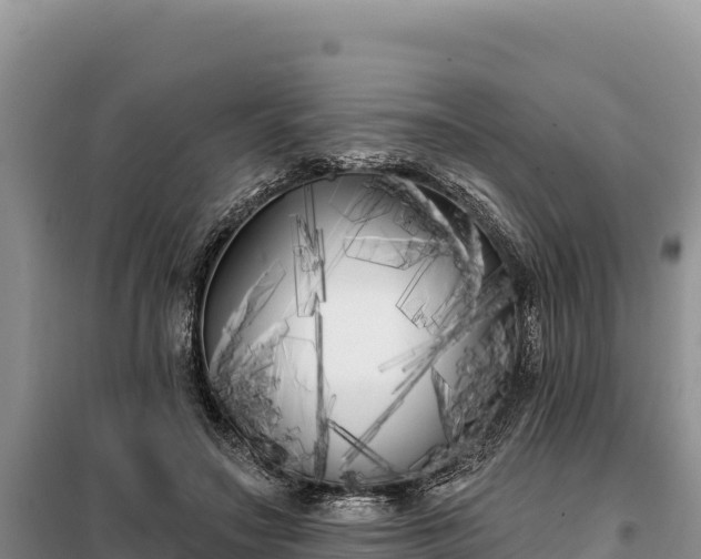 X0000099320499200805091045