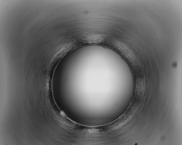 X0000099320501200805091045