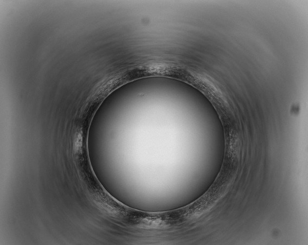 X0000099320502200805091045