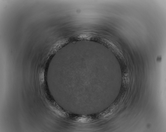 X0000099320504200805091045