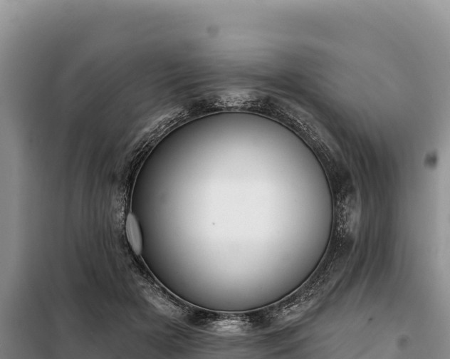 X0000099320505200805091045