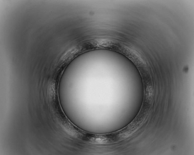 X0000099320506200805091045