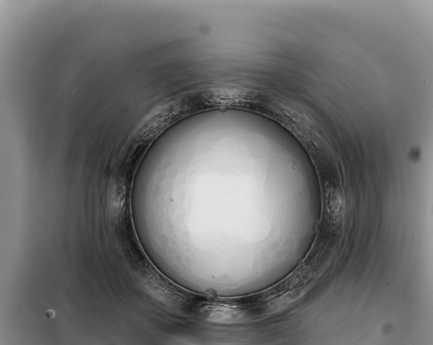 X0000099320507200805091045