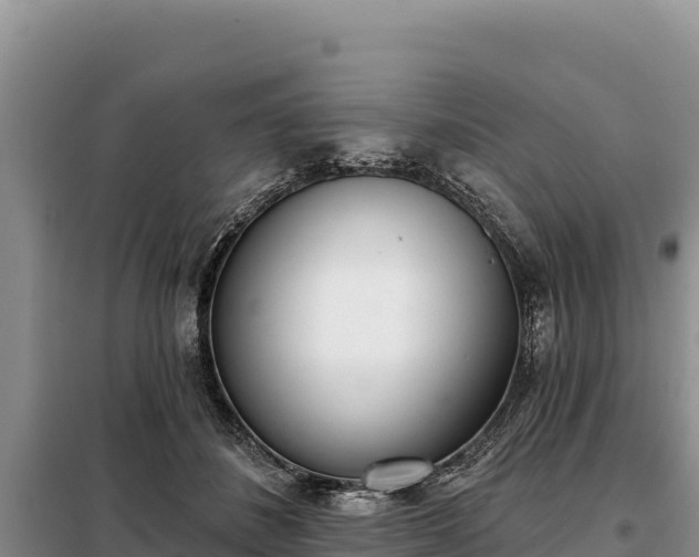 X0000099320508200805091045