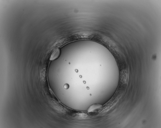 X0000099320509200805091045