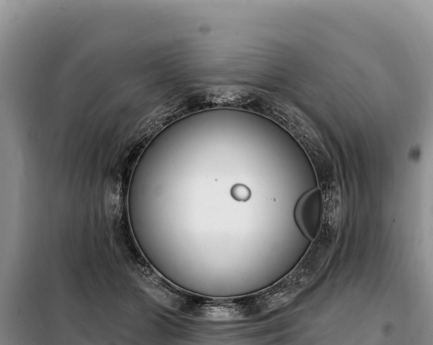 X0000099320510200805091045