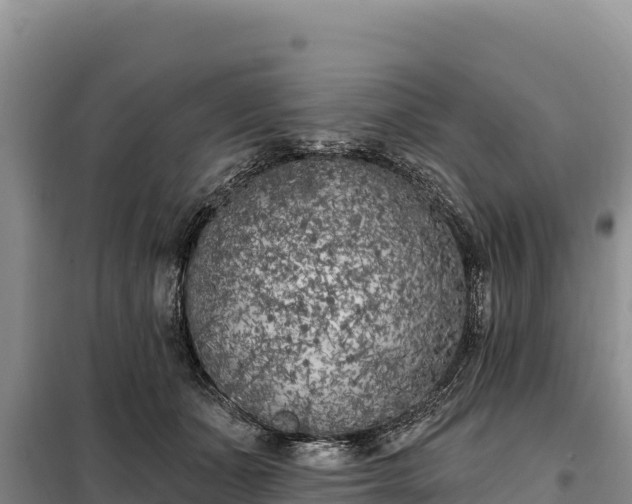 X0000099320511200805091045