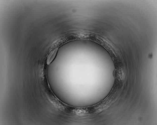 X0000099320512200805091045