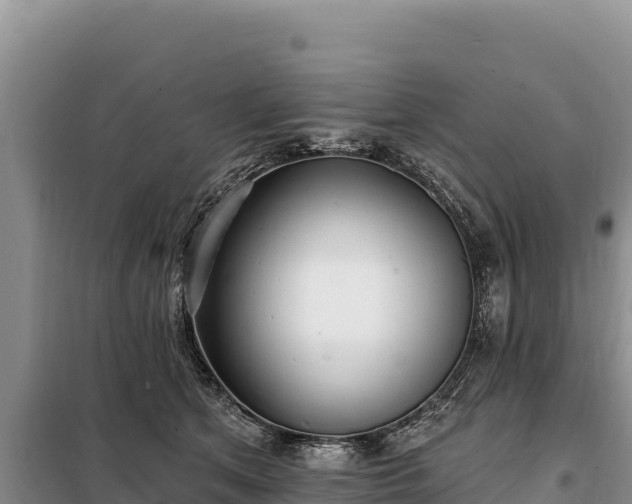 X0000099320513200805091044