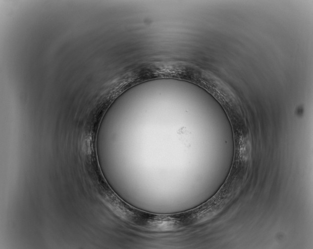 X0000099320514200805091044