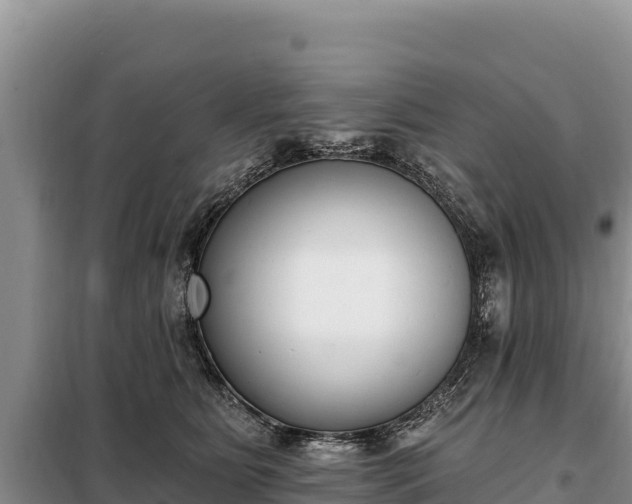 X0000099320515200805091044