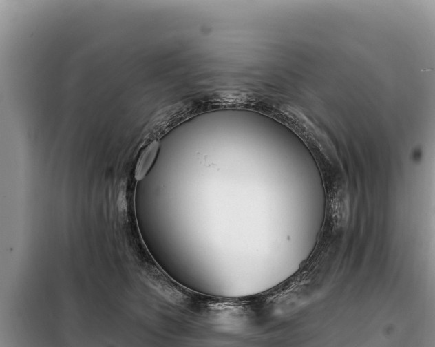 X0000099320516200805091044