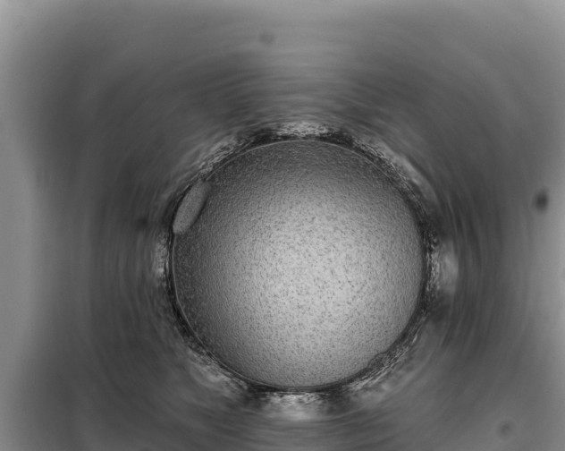 X0000099320517200805091044