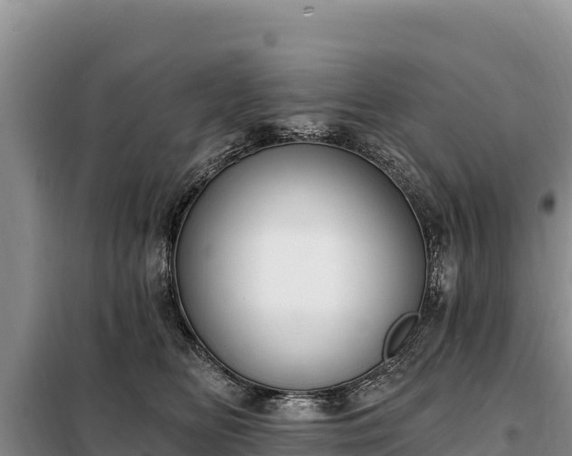 X0000099320518200805091044