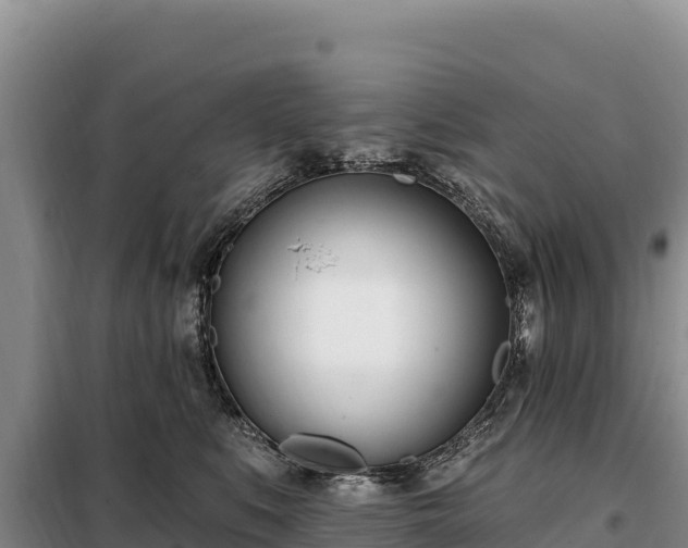 X0000099320519200805091044