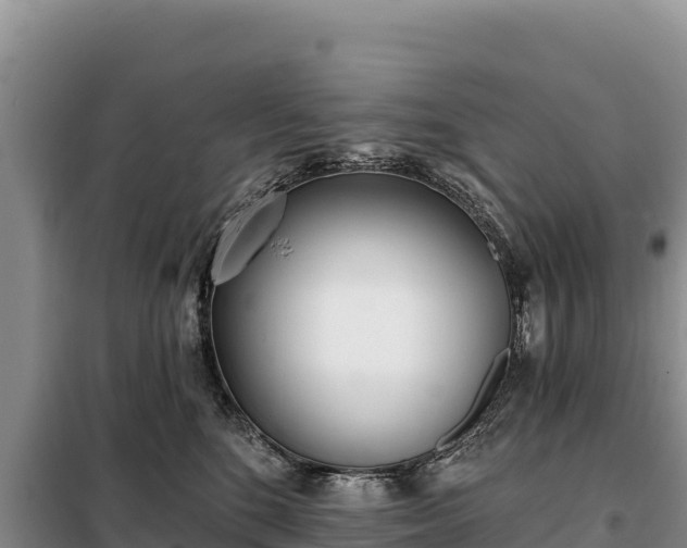 X0000099320520200805091044