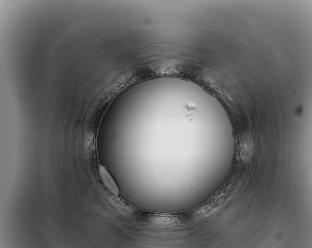 X0000099320521200805091044