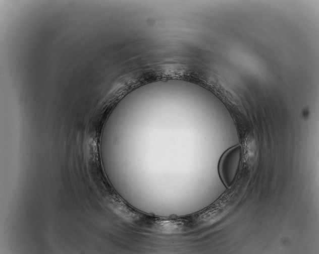 X0000099320522200805091044