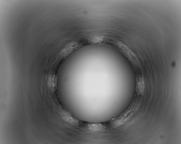 X0000099320525200805091044