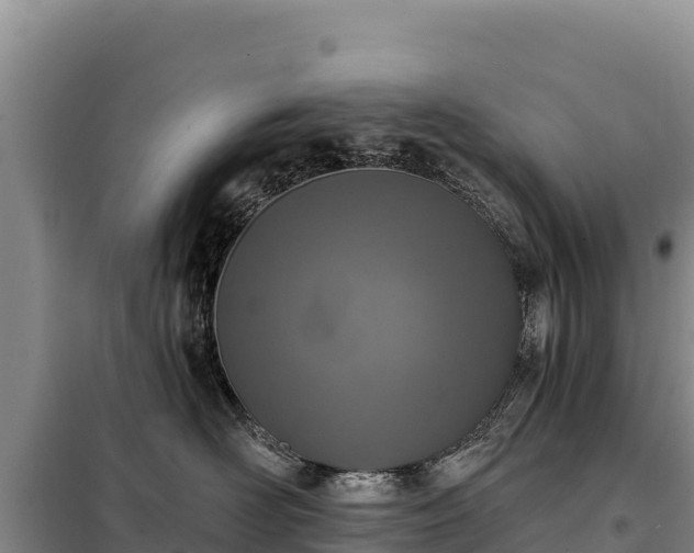 X0000099320526200805091044