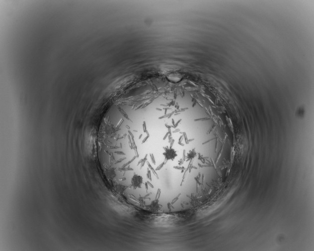 X0000099320527200805091044