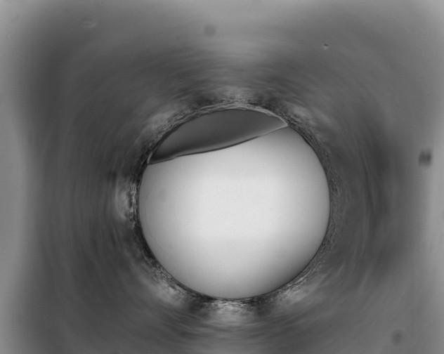 X0000099320528200805091044