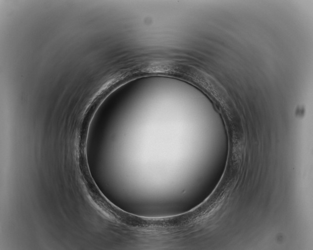 X0000099320530200805091044