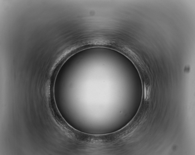 X0000099320531200805091044